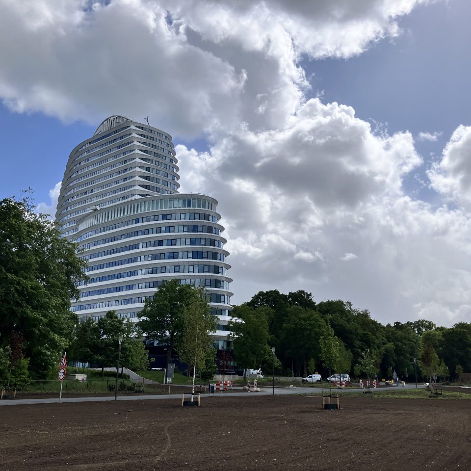 Ringweg met geleverde grond op verdiepte ligging en bomen